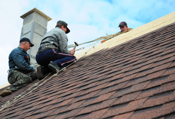 Best Storm Damage Roof Repair  in Cactus, TX